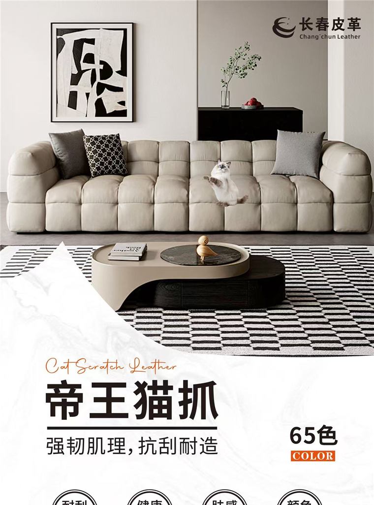 帝王猫抓系列